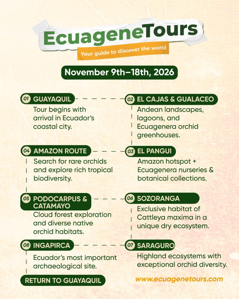 Ecua_Cattleya tour 2