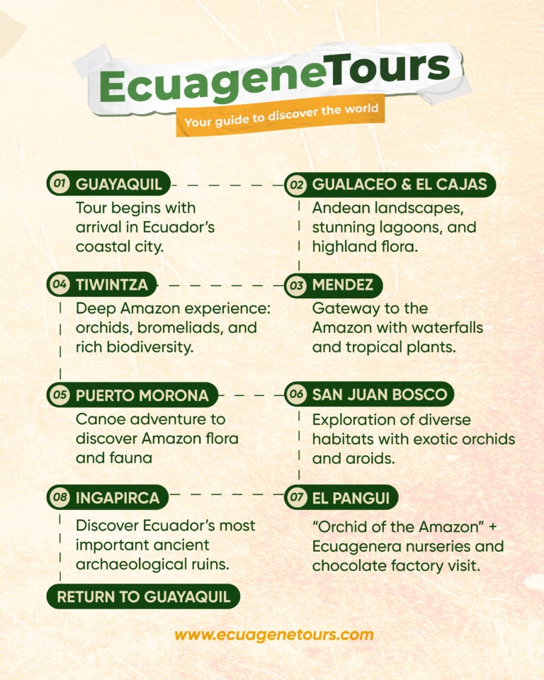 Ecua_Tropical tour 2-06