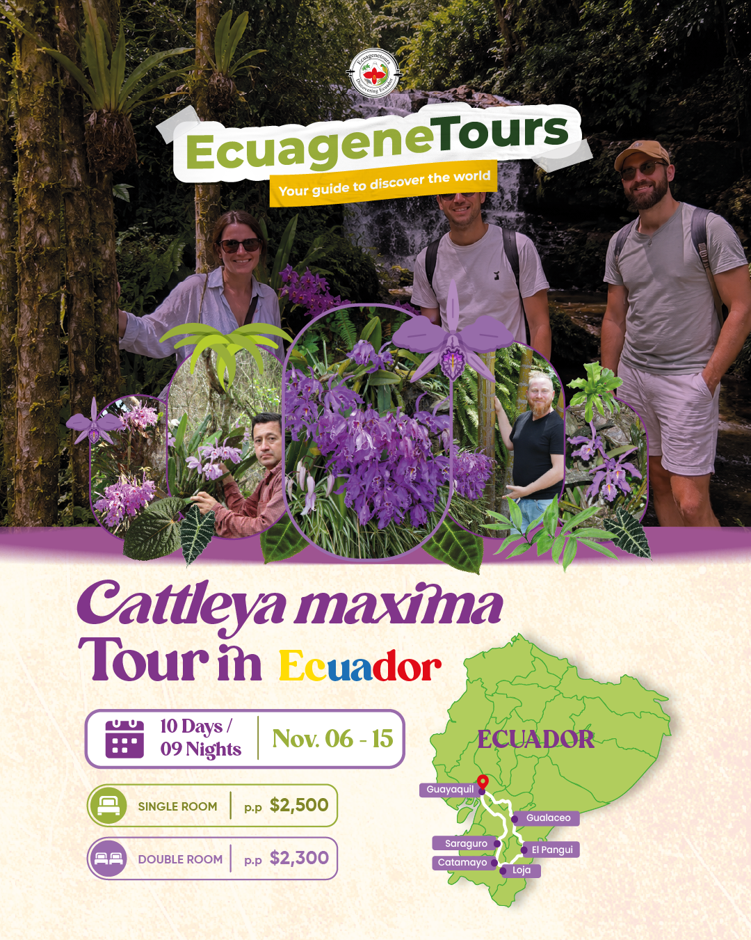 TOUR_CATTLE