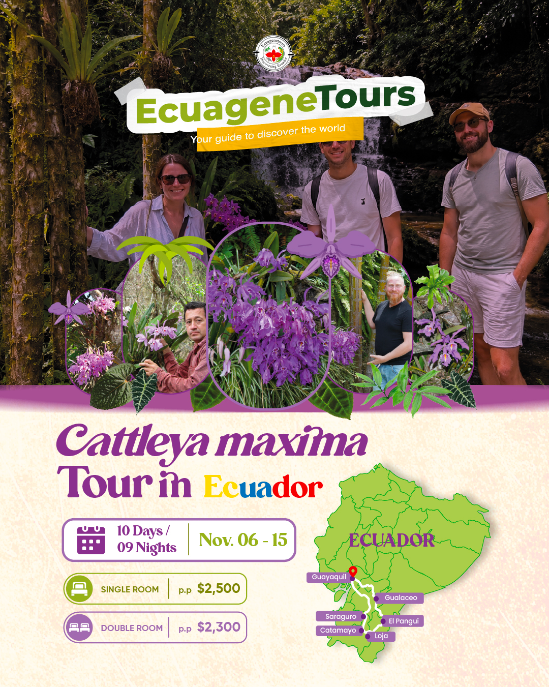 TOUR_CATTLE0