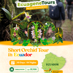 SHORT ORCHID TOUR (Single room)