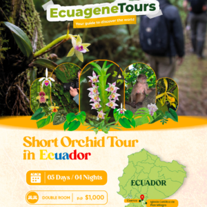 SHORT ORCHID TOUR (Double room)