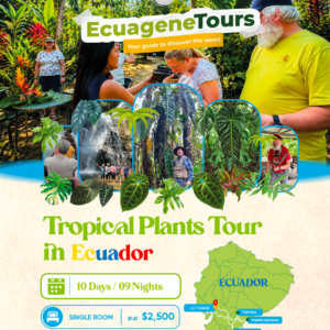 TROPICAL PLANTS TOUR (Single room)